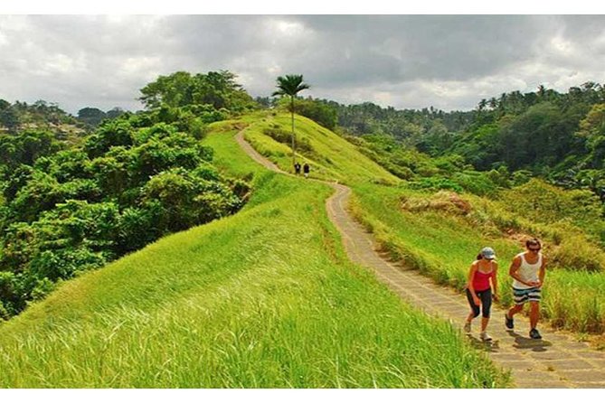 Private Tour: Campuhan Ridge Walk, Ubud Rice Terrace & Ubud Palace - Quick Hits: What Makes This Ubud Day Work