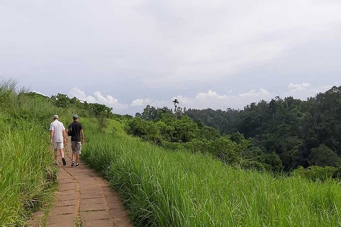Private Tour: Campuhan Ridge Walk, Ubud Rice Terrace & Ubud Palace - Campuhan Ridge Walk: The Cool Morning Valley Escape