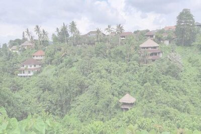 Private Tour: Campuhan Ridge Walk, Ubud Rice Terrace & Ubud Palace - Ceking Rice Terrace: Terraced Views You Can Actually Spend Time On