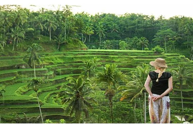 Private Tour: Campuhan Ridge Walk, Ubud Rice Terrace & Ubud Palace - How the 8-Hour Private Day Flows from 8:00 am