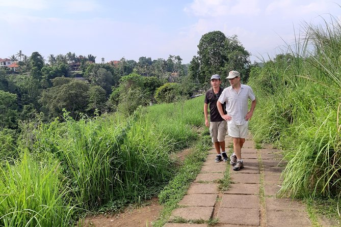 Private Tour: Campuhan Ridge Walk, Ubud Rice Terrace & Ubud Palace - What’s Included in This $25 Price (and What’s Not)