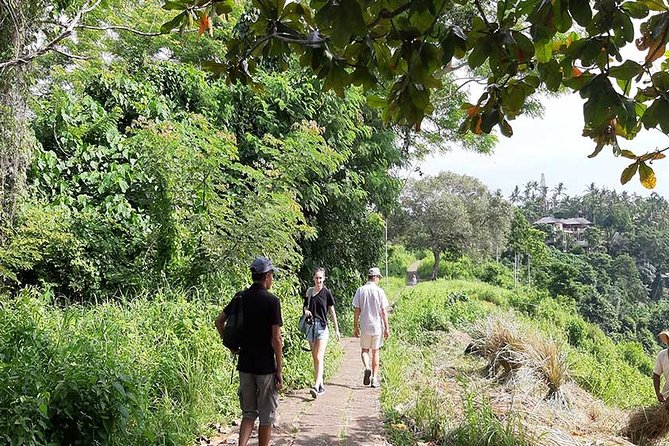 Private Tour: Campuhan Ridge Walk, Ubud Rice Terrace & Ubud Palace - Private Transport and English-Speaking Guidance That Actually Helps