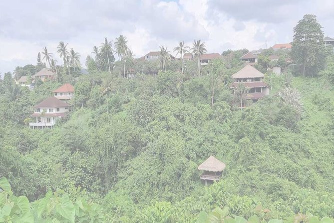 Private Tour: Campuhan Ridge Walk, Ubud Rice Terrace & Ubud Palace - Ceking Rice Terrace: Terraced Views You Can Actually Spend Time On