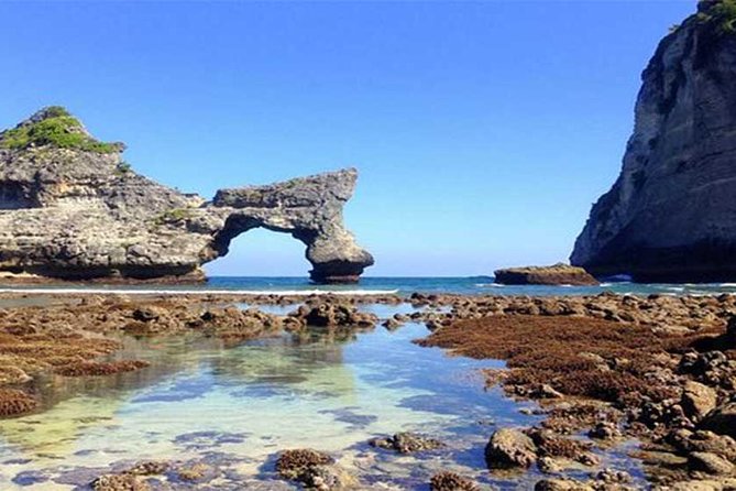 Private tour : East of Nusa Penida Day Tour All-inclusive - Molenteng Hill and the Tree House: Rumah Pohon with a big viewpoint payoff