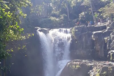 Private tour in Ubud country side - Tegalalang Rice Terrace: why it’s famous, and how to enjoy your 30 minutes