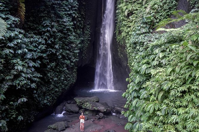 Private Tour: Leke-Leke Waterfall, Handara gate & Iconic Temples - Price and Value: Is $58 a Smart Deal?