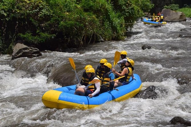Private Tour Rafting Uluwatu Kecak Dance Sunset and Dinner in Jimbaran Bay - Jimbaran Bay evening: romantic beachside dining, with the right expectations