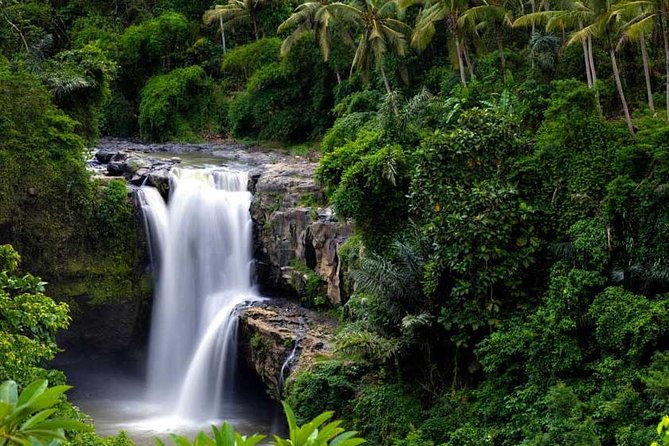 Private Tour - Ubud Kintamani Tours - What this private Ubud–Kintamani day is really like