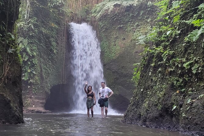 Private Tour Ubud: Swing at Rice Field with Temple and Waterfall - A Ubud Private Day Built Around Views and Rituals