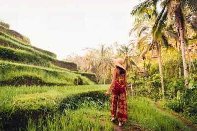 Private Tour Ubud: Swing at Rice Field with Temple and Waterfall - Stop 1: Aloha Ubud Swing Over Jungle and Rice Valley
