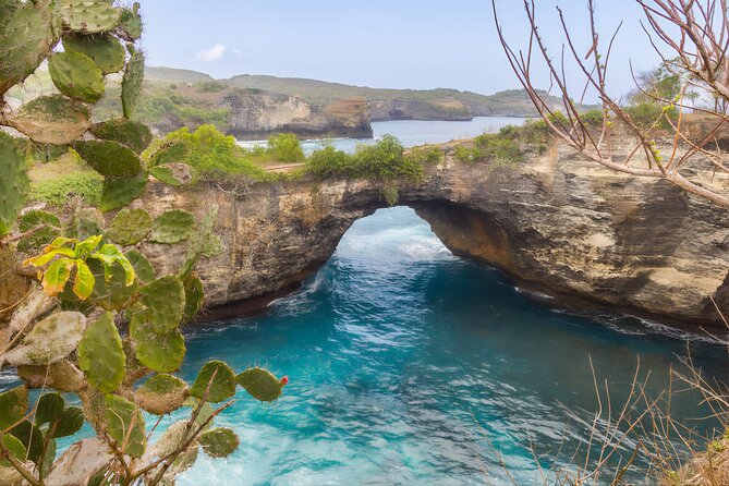 Private Tour West Nusa Penida with T-Rex Beach - Transport and Timing: What a Private Day Actually Gives You