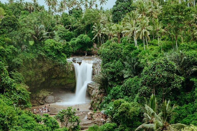 Private Ubud Day Tour Waterfalls Sacred Monkeys and Rice Fields - Mas Carving Center: Watch Craft at Work (and Get Hands-On)