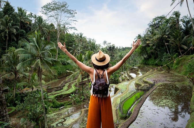 Private Ubud Day Tour Waterfalls Sacred Monkeys and Rice Fields - The Role of Your Guide: Why Reviews Mention Wayan