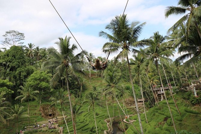 Private Ubud Tour Package - Your 8:00am start and how the route flows