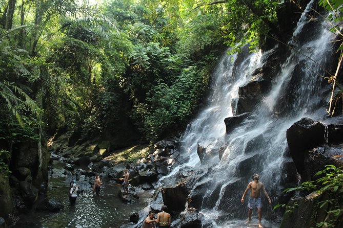 Private Waterfall Tour Feature Tukad Cepung, Tibumana and Kanto Lampo - Pickup, Vehicle Comfort, and How the Day Moves