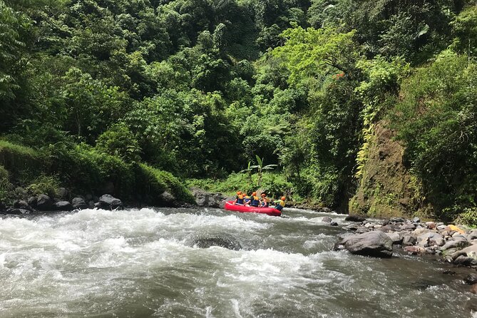 Rafting Adventure 18 km and Balinese Village Life Tour with Lunch - Klungkung Village Walk With Kadek: Rice Fields, Family Compounds, and Lunch