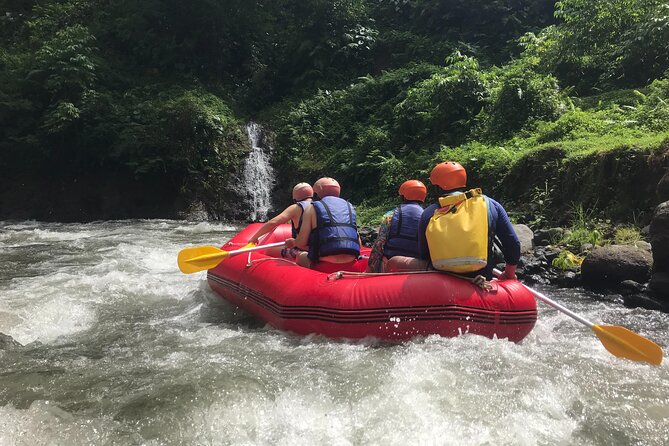 Rafting Adventure 18 km and Balinese Village Life Tour with Lunch - Price and Value: Is $73.02 Worth It in Bali?