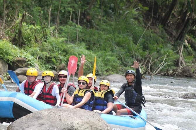 Rafting Swing Monkey Forest And Waterfall Tour All Inclusive - Price and value for $54: what feels included and what to double-check