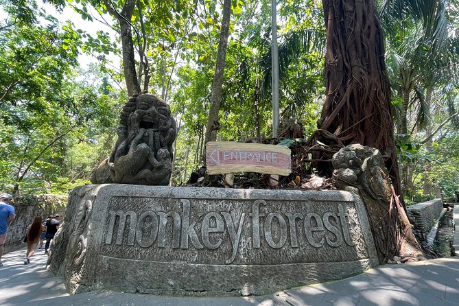 Rafting Swing Monkey Forest And Waterfall Tour All Inclusive - Stop 1: Payung Rafting Bali on the Ayung River from Payangan Village
