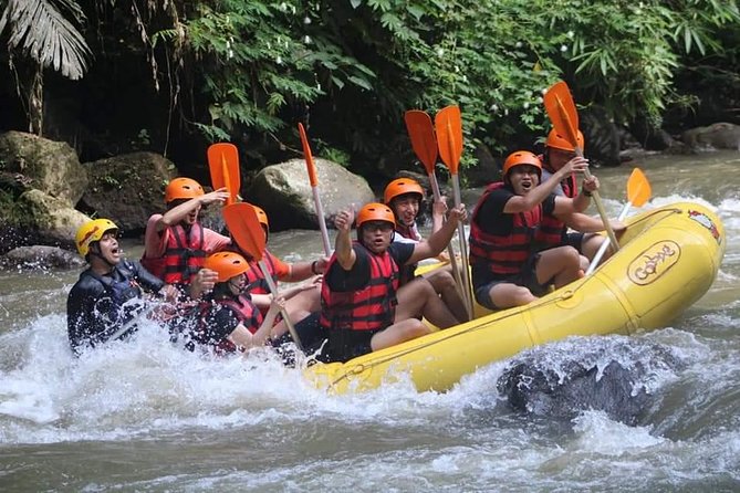Rafting Swing Monkey Forest And Waterfall Tour All Inclusive - Getting from Seminyak and how the day usually flows
