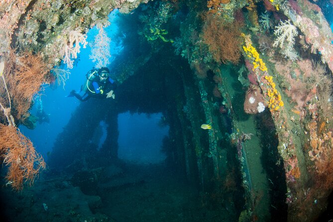Sanur Open Water Course learn diving in 3 Days - Get certified & Dive everywhere - Day 3 in Padang Bai or Tulamben: USS Liberty and Real Reward