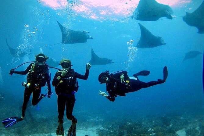 Sanur Open Water Course learn diving in 3 Days - Get certified & Dive everywhere - Day 1 Pool Session in Sanur: Build Skills Before the Ocean