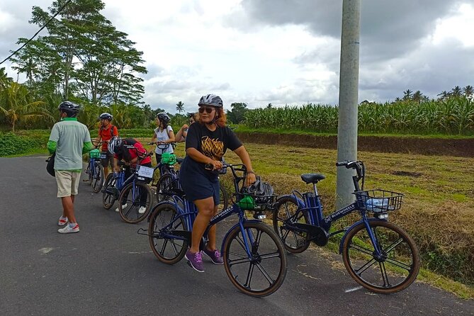 Sanur Village E-bike Tour: Family-Friendly Adventure - The 9:00 am timing and 2.5-hour pacing