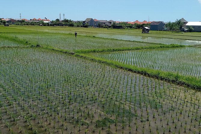 Sanur Village E-bike Tour: Family-Friendly Adventure - The traditional market stop: local life in one practical place