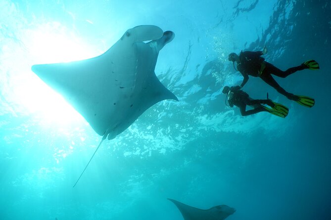 Scuba Diving Nusa Penida Manta Point 3 dives for certified divers - Schedule that starts early: pickup, boat time, and a realistic finish