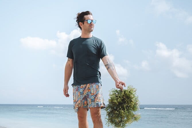 Seaweed Farming Activity and Sightseeing at Diamond Beach - Key Highlights You’ll Feel Right Away