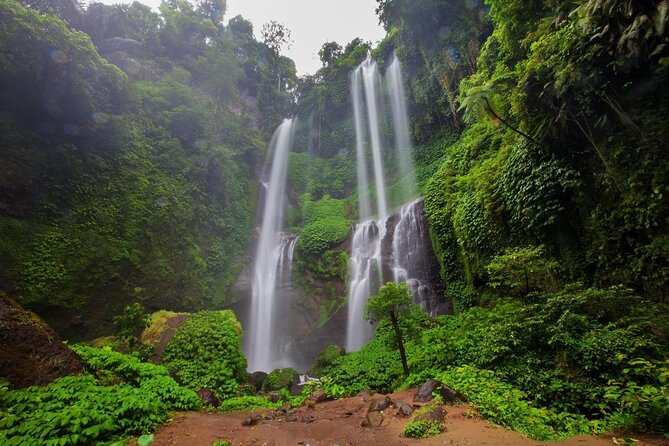 Sekumpul waterfall & aling2 waterfall with private service (including activity) - Key things to know before you go
