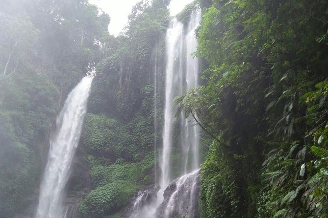 Sekumpul waterfall & aling2 waterfall with private service (including activity) - North Bali Waterfalls in a Single Private Day from Nusa Dua