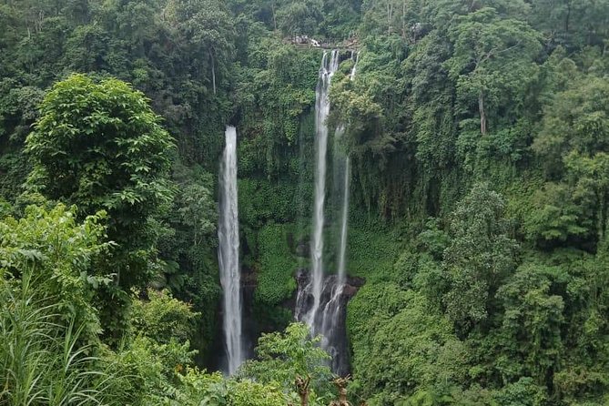 Sekumpul waterfall & aling2 waterfall with private service (including activity) - Sekumpul Waterfall: the 90-meter wow moment