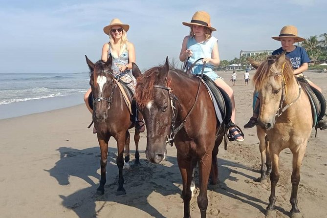 Seminyak Beach Bali Horse Riding - Meeting at Mesari Stables: how to avoid the most common headaches