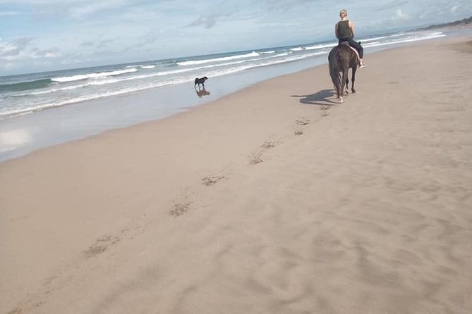 Seminyak Beach Bali Horse Riding - Who this private Seminyak horse ride is best for