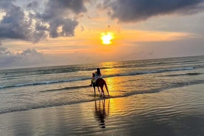 Seminyak Horse back riding In the beach - Horses and guides: calm animals and hands-on support