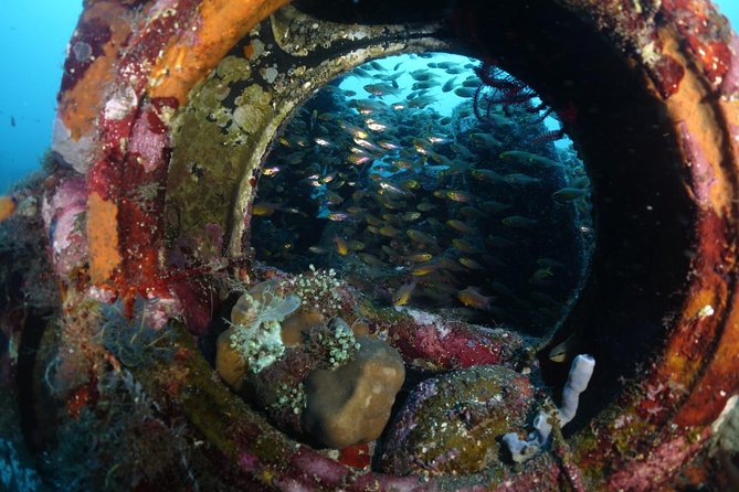Shipwreck Diving in Tulamben - Key points that make Tulamben feel organized (not chaotic)