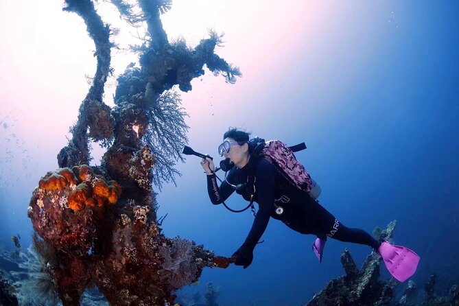 Shipwreck Diving in Tulamben - Bottom times, surface intervals, and why the schedule helps