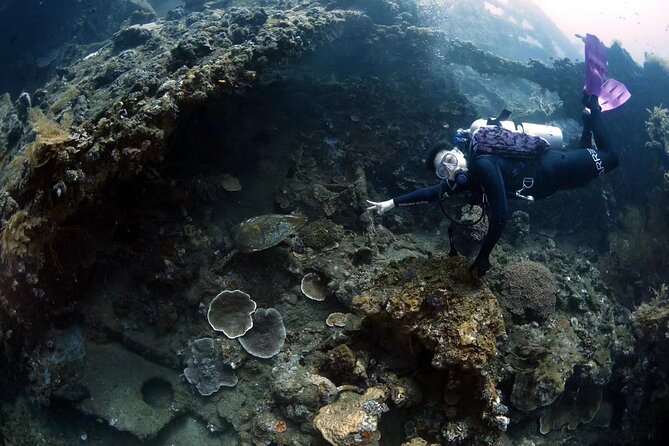 Shipwreck Diving in Tulamben - Equipment, insurance, and the fit details that prevent headaches