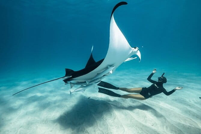 Snorkeling 3 Spots with GoPro & West Coast Tour Nusa Penida - Key Highlights Worth Planning Around