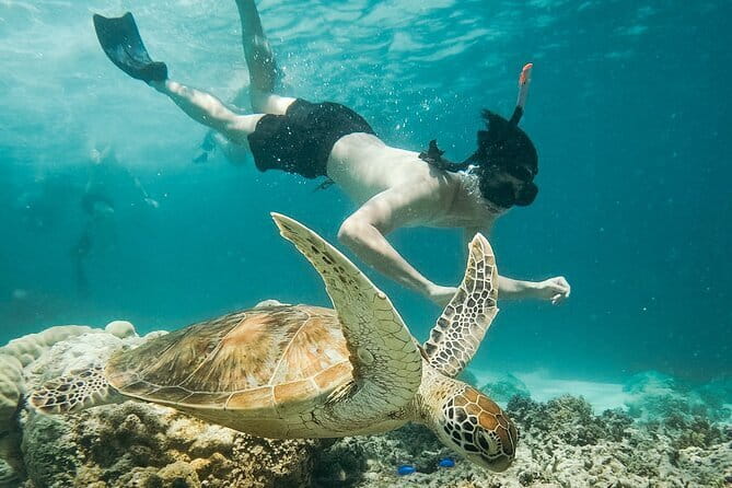 Snorkeling 3 Spots with GoPro & West Coast Tour Nusa Penida - GoPro Documentation: Getting Photos Without Losing Your Focus