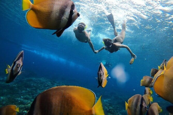 Snorkeling 3 Spots with GoPro & West Coast Tour Nusa Penida - Should You Book This Snorkeling + West Coast Penida Tour?
