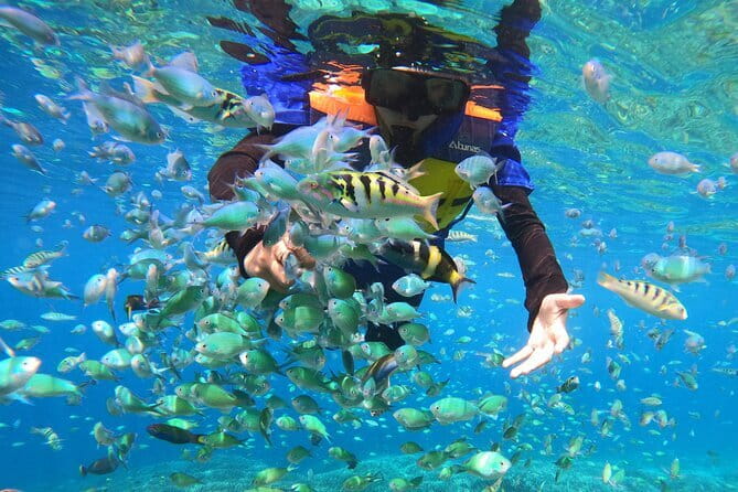Snorkeling 3 Spots with GoPro & West Coast Tour Nusa Penida - FAQ