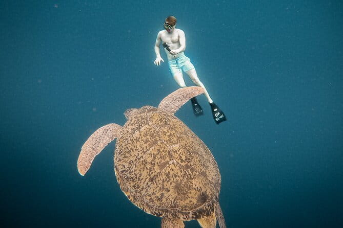 Snorkeling 3 Spots with GoPro & West Coast Tour Nusa Penida - West Coast Photo Stops: Kelingking, Broken Beach, and Angel’s Billabong