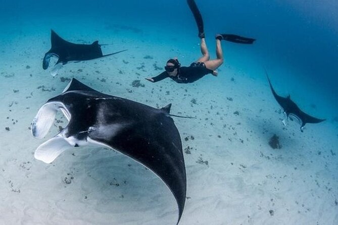 Snorkeling 4 Spot With Manta Bay Or Optional Land Trip - Four Stops, One Water Day: Manta Bay and More in Nusa Penida
