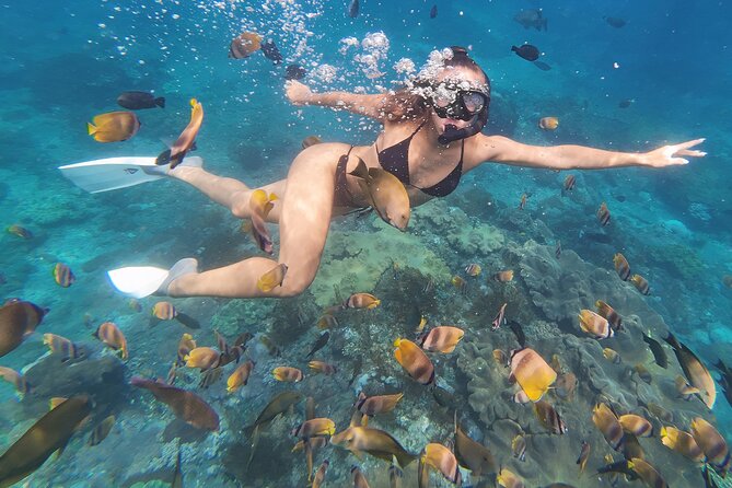 Snorkeling 4 Spot With Manta Bay Or Optional Land Trip - What’s Included: Gear, Towel, and GoPro Photos and Video