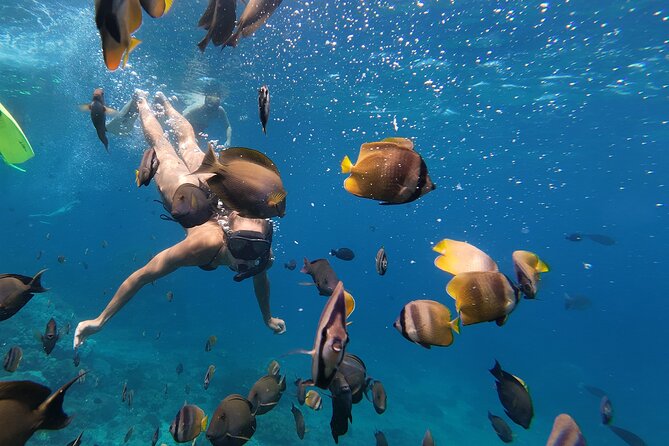 Snorkeling 4 Spot With Manta Bay Or Optional Land Trip - Stop 2 — Gamat Bay: Coral Gardens for Color and Confidence