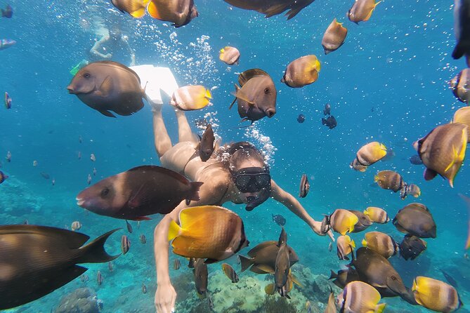 Snorkeling 4 Spot With Manta Bay Or Optional Land Trip - Stop 4 — Crystal Bay: Your Final Look Before the Return