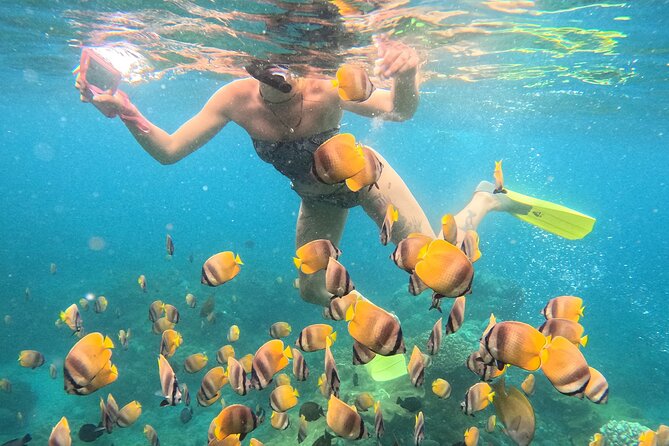 Snorkeling 4 Spot With Manta Bay Or Optional Land Trip - Comfort and Safety: Fitness Level, English Guidance, and Equipment Checks