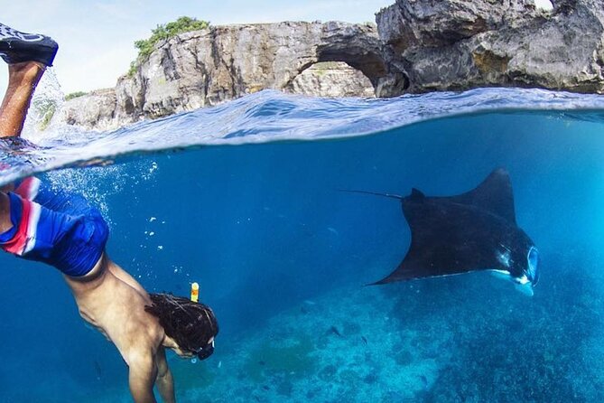 Snorkeling adventure to the manta ray habitat in Nusa Penida - Manta Point: the manta-ray target and the key reality check